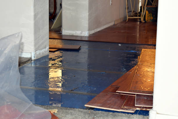 Professional Structural Drying And Dehumidification technician working in Bay Port, MI